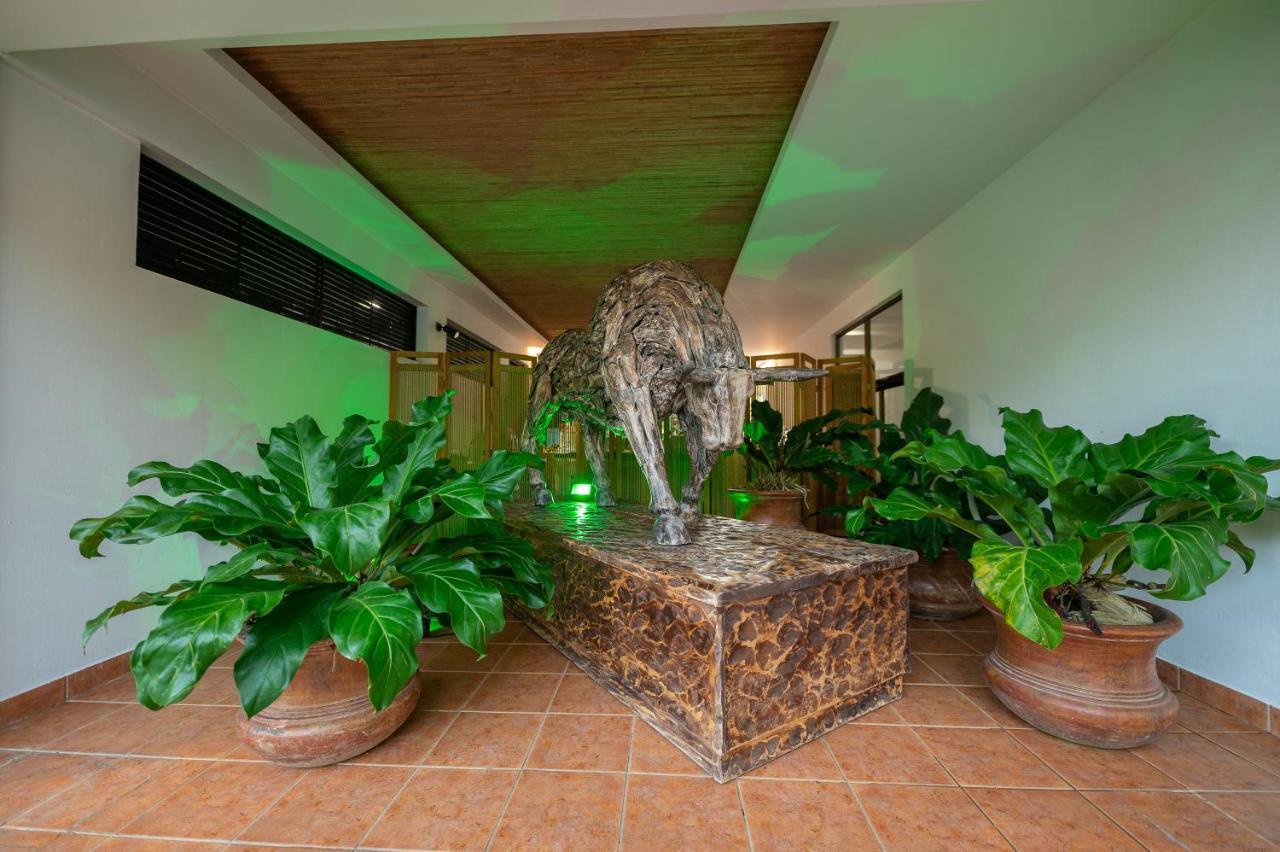 Hotel Costa Pacifica Esterillos Exteriér fotografie